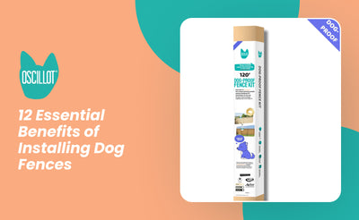 12 Essential Benefits of Installing Dog Fences