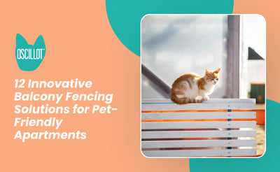 12 Innovative Balcony Fencing Solutions for Pet-Friendly Apartments
