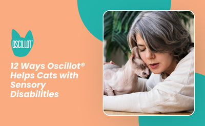 12 Ways Oscillot® Helps Cats with Sensory Disabilities