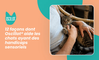 12 façons dont Oscillot® aide les chats ayant des handicaps sensoriels