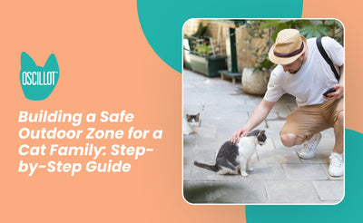 Building a Safe Outdoor Zone for a Cat Family: Step-by-Step Guide