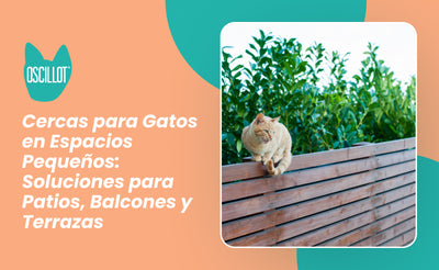 Cercas para Gatos en Espacios Pequeños: Soluciones para Patios, Balcones y Terrazas