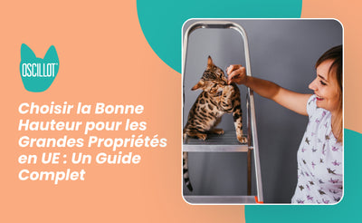 Choisir la Bonne Hauteur pour les Grandes Propriétés en UE : Un Guide Complet