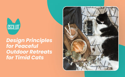 Design Principles for Peaceful Outdoor Retreats for Timid Cats