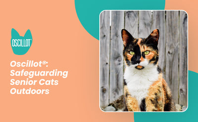 Oscillot®: Safeguarding Senior Cats Outdoors