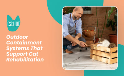 Outdoor Containment Systems That Support Cat Rehabilitation