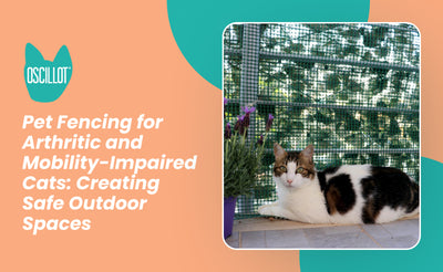 Pet Fencing for Arthritic and Mobility-Impaired Cats: Creating Safe Outdoor Spaces