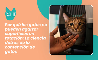 Por qué los gatos no pueden agarrar superficies en rotación: La ciencia detrás de la contención de gatos