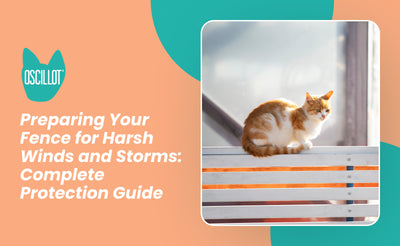 Preparing Your Fence for Harsh Winds and Storms: Complete Protection Guide