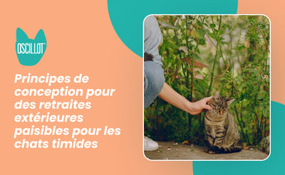 Principes de conception pour des retraites extérieures paisibles pour les chats timides