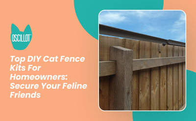 Top DIY Cat Fence Kits For Homeowners: Secure Your Feline Friends