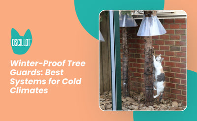 Winter-Proof Tree Guards: Best Systems for Cold Climates